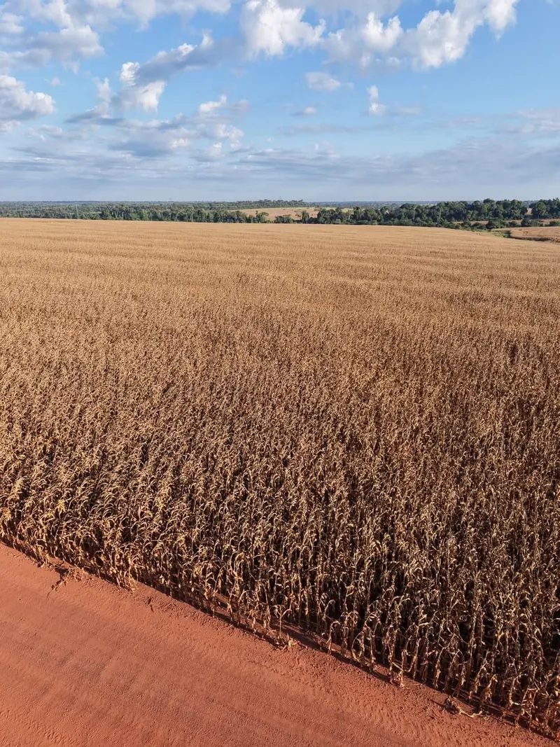 Fazenda 3.705 ha em Juara / Brasnorte / Porto dos Gaúchos