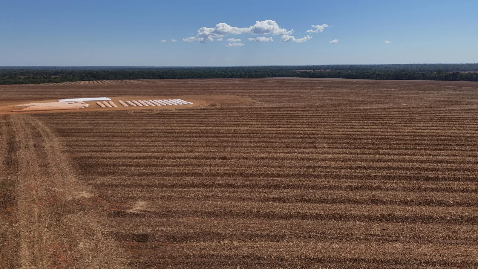 Fazenda 14.000 ha em Sinop, foto 1 de 18