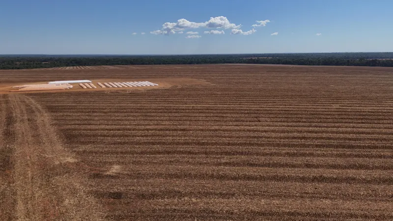 Fazenda 14.000 ha em Sinop