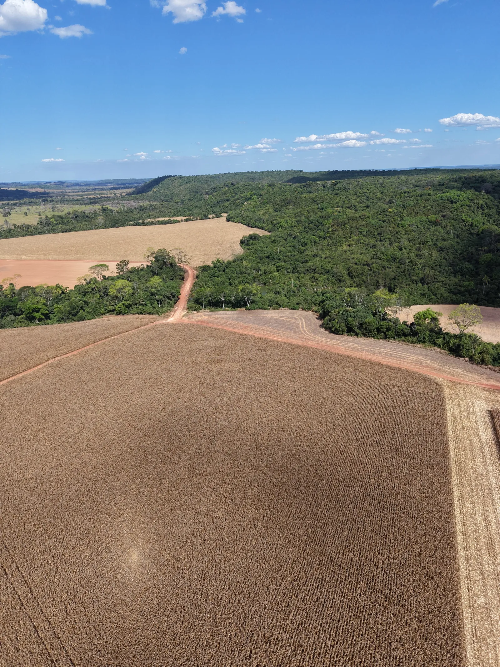 Fazenda 1.900 ha em Mato Grosso, foto 1 de 2