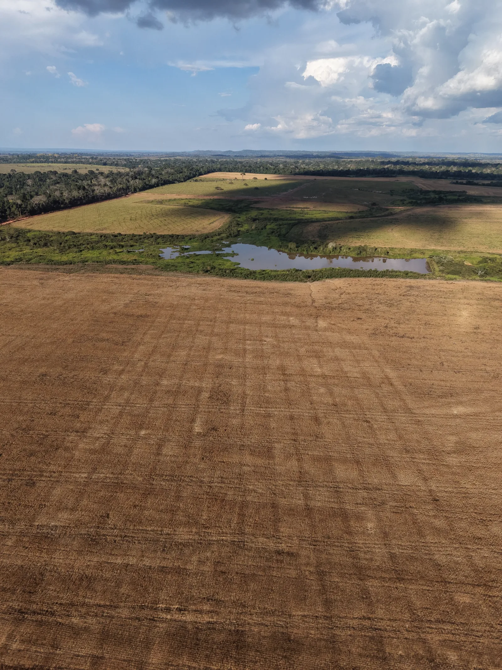 Fazenda 5.000 ha em Mato Grosso, foto 1 de 3