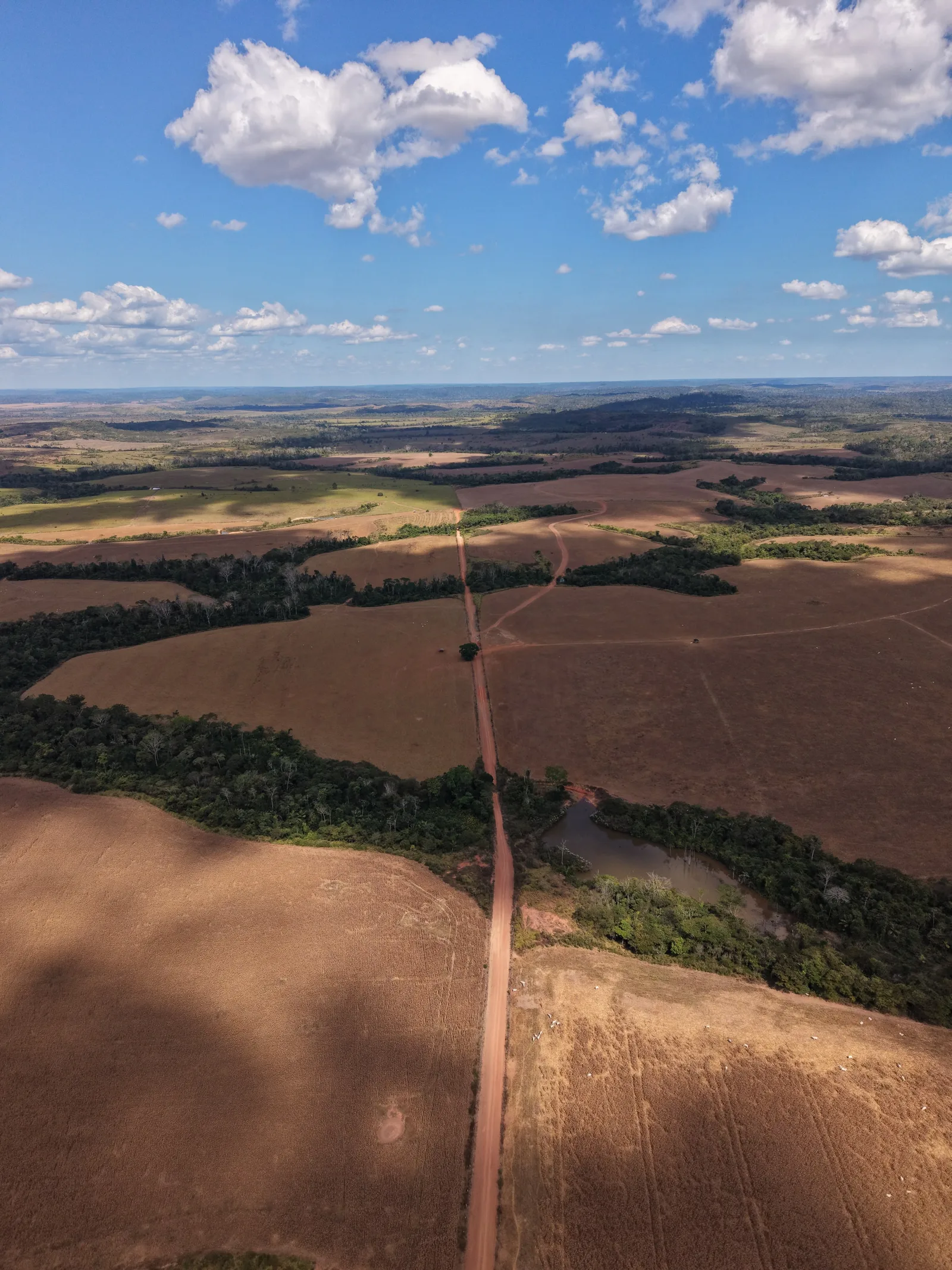 Fazenda 7.000 ha em Mato Grosso, foto 1 de 4