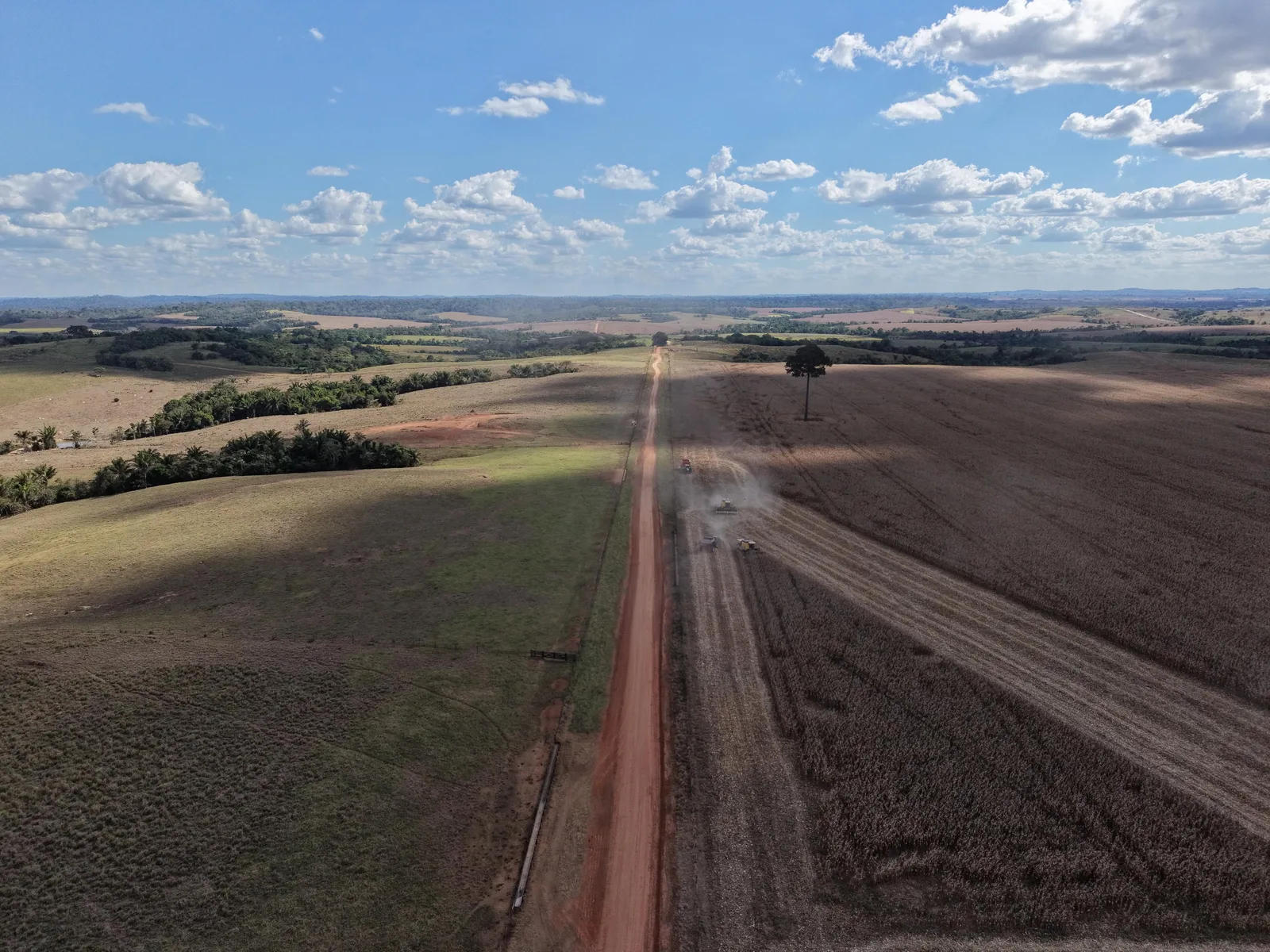 Fazenda 9.000 ha em Alta Floresta / Paranaíta, foto 1 de 29